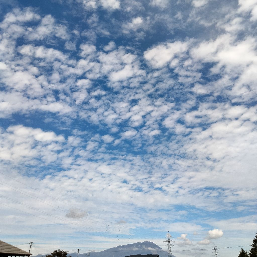 #786　秋分の日に思う