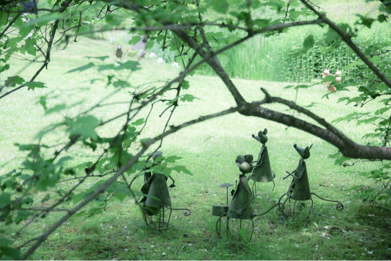 🍀お便りをご紹介したいのです🍀