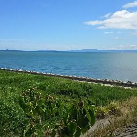 ランニングで変われた話