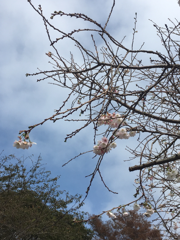 1日目 声で残す備忘録。副業やってみたい