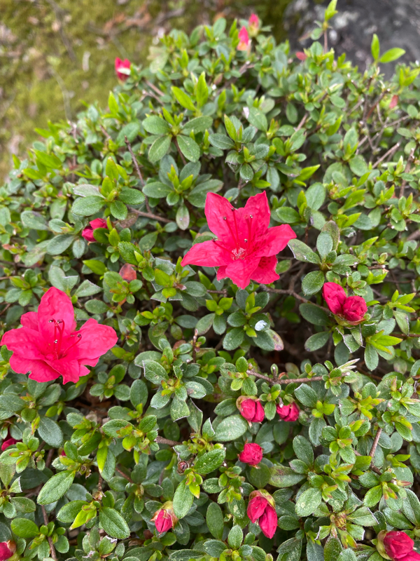 第127回：報告は下から上に、だけではありません