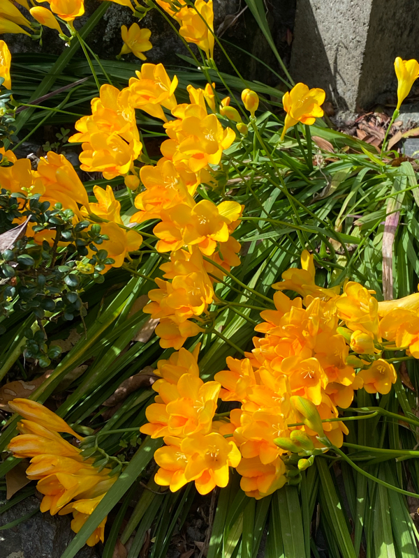 第134回：一段高い視点で眺めてみる