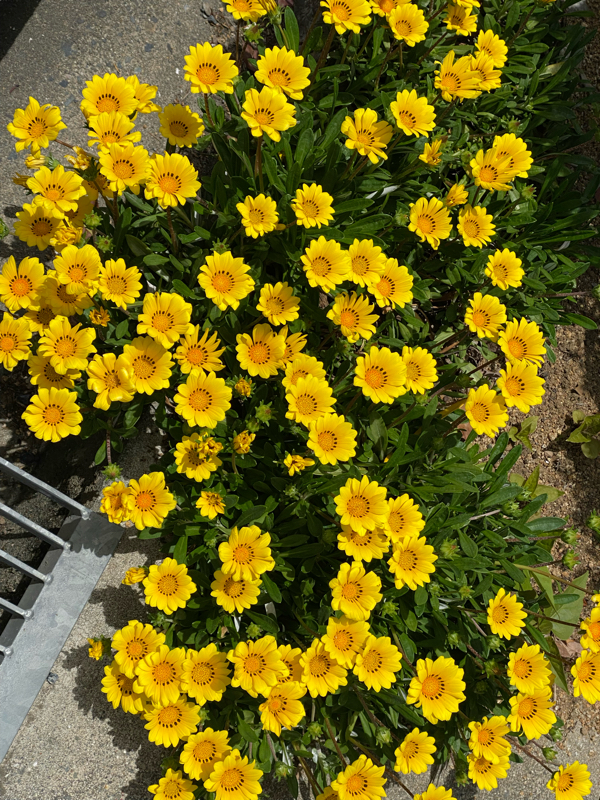 第150回：コスト意識