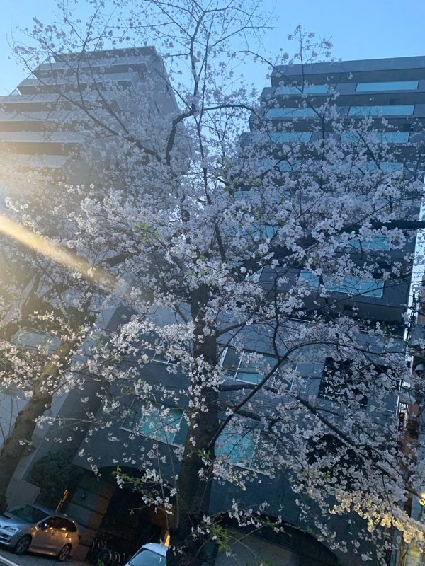 塾講師をしています という話