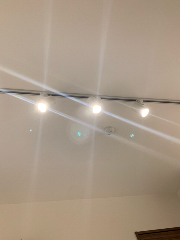 サノライブ「すべてをかけて」が終わりましたという話