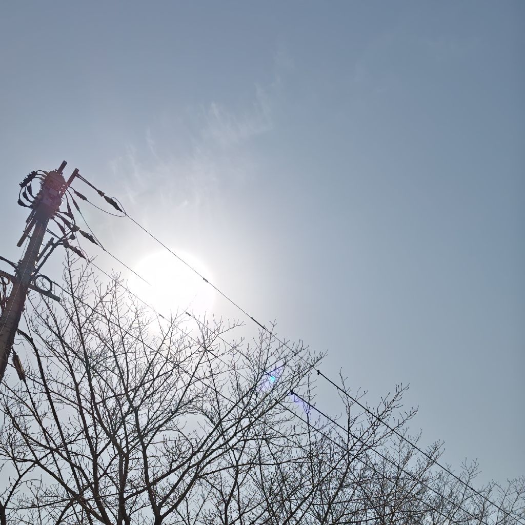 体調不良すぎて滅！の回
