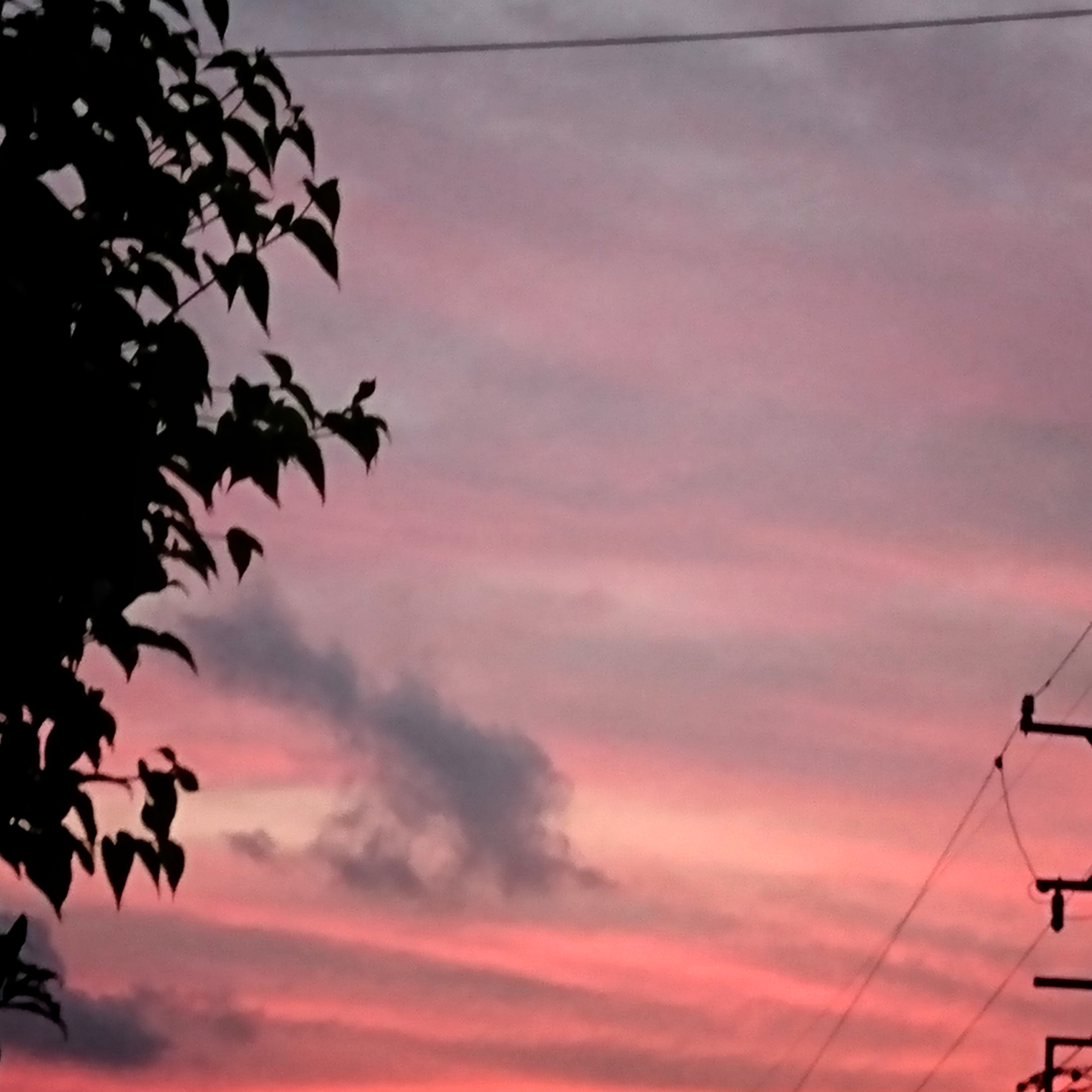 【5】ダイエットしたいんだけど…