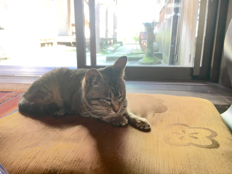 #3「あんたどこの子？」問題