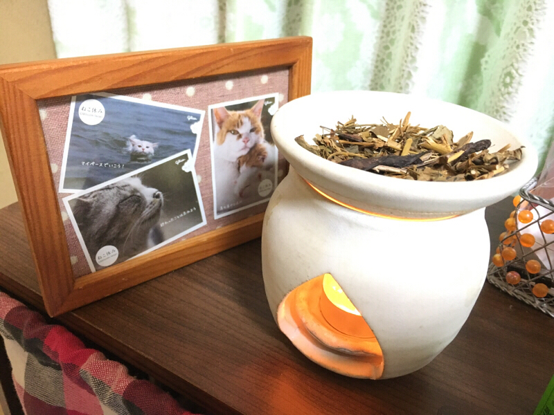 #4 島根の夜は快適か。