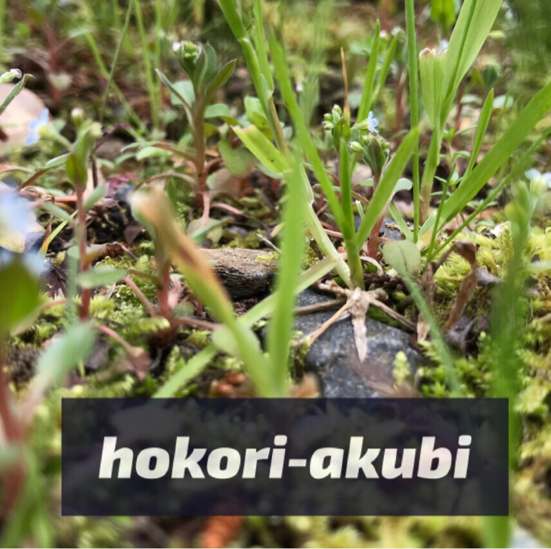 40. 小さな友達できた日。