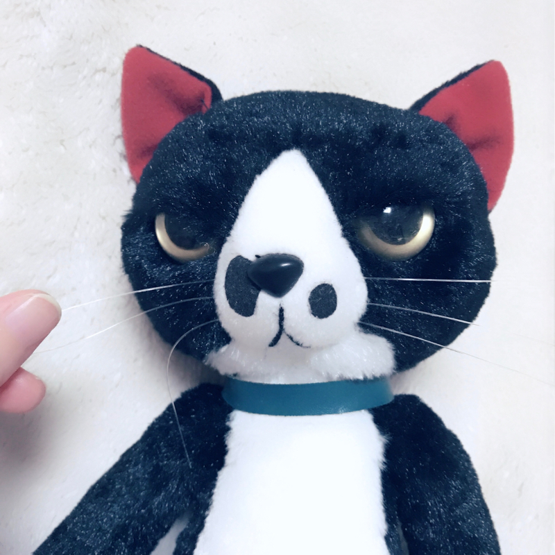 66. ネコくんと初トーク(相談)したら方言でた