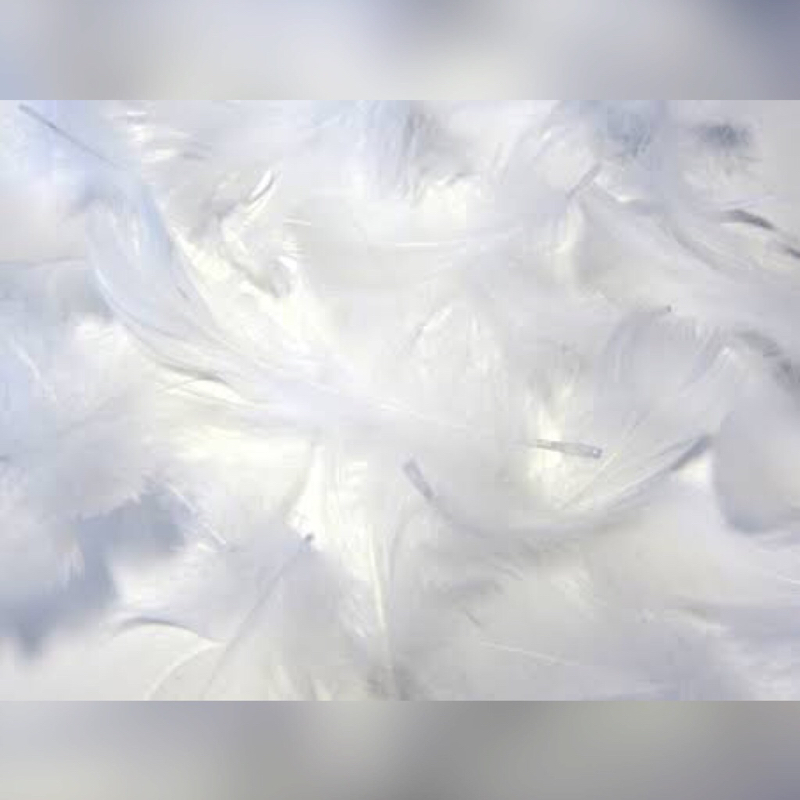 #00 テスト(自己紹介ほんのり)