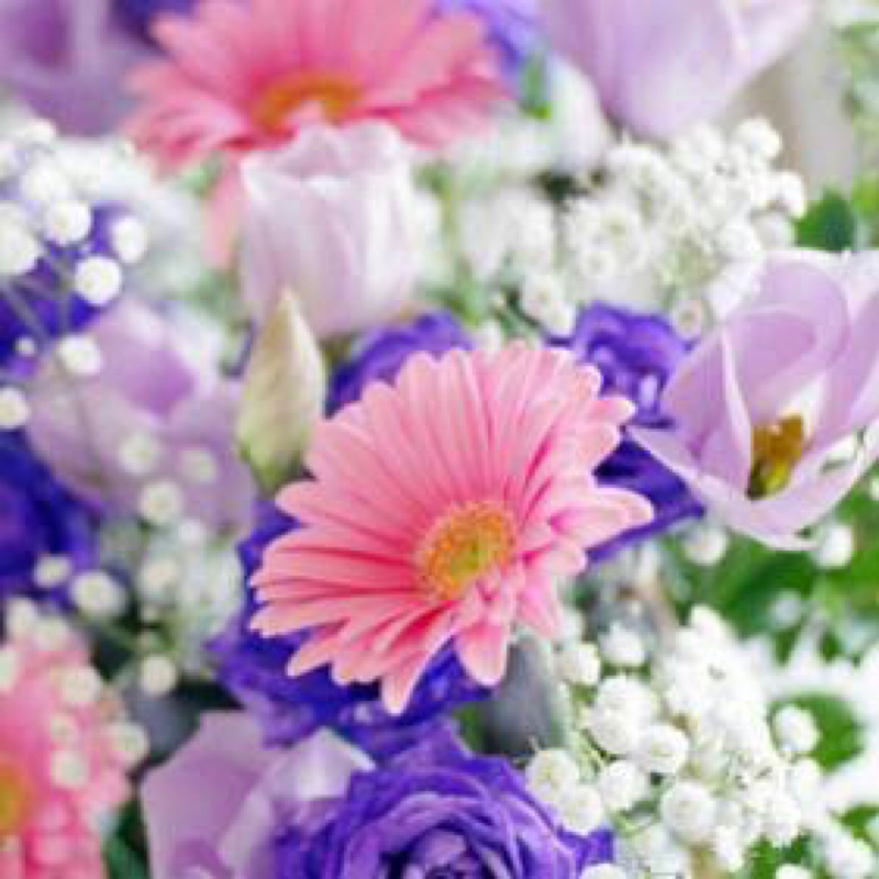 引き際と受け入れる側のココロ。