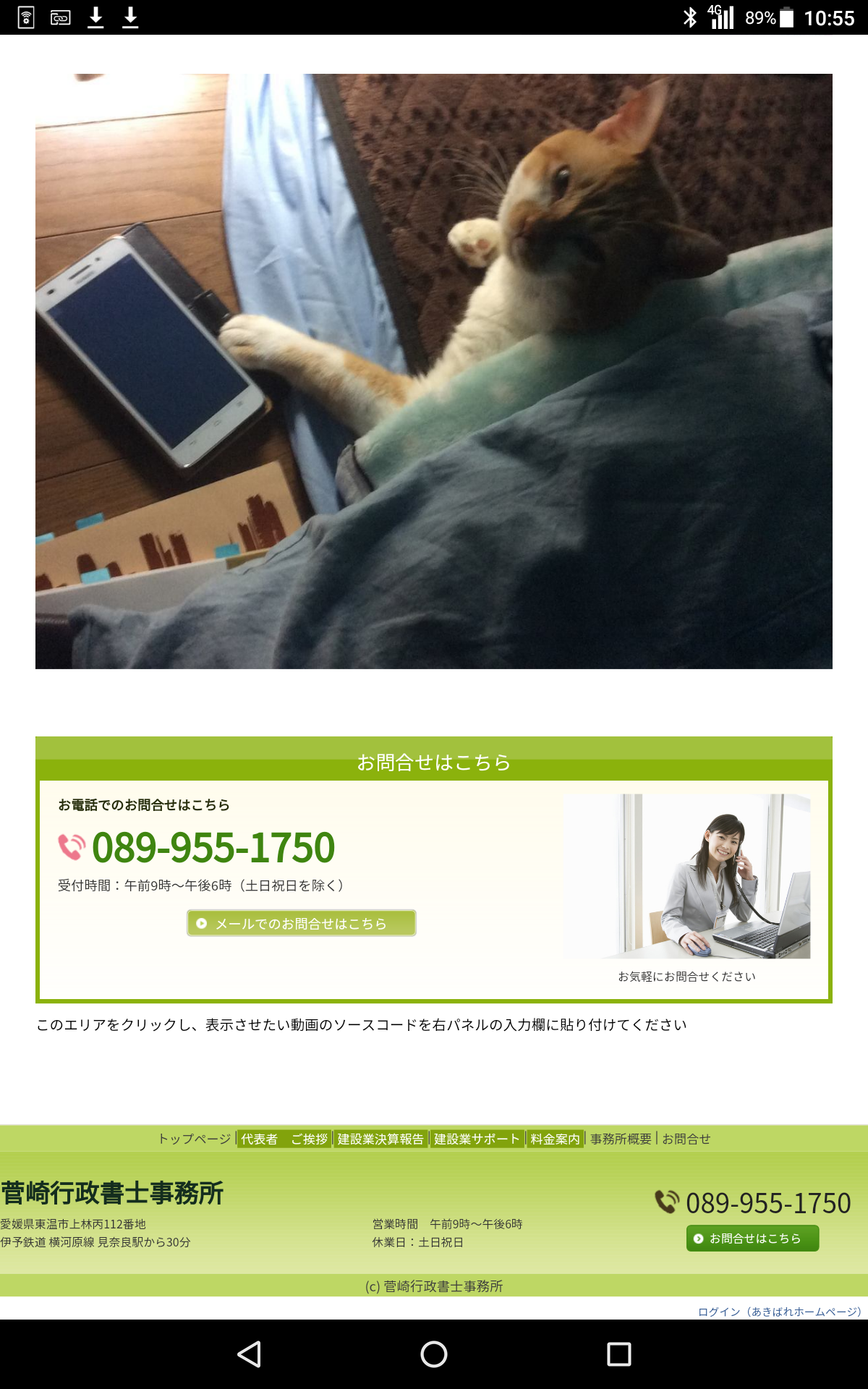 猫の事務所　通信　