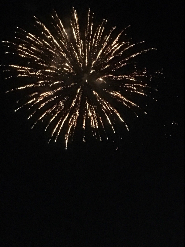 気ままにゆるりと