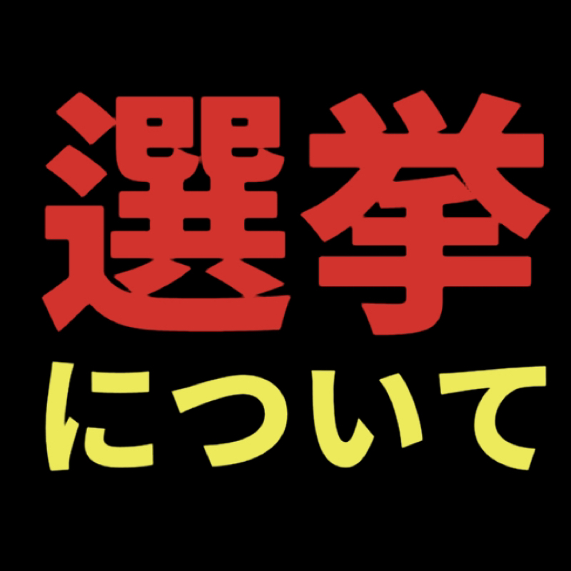 選挙について