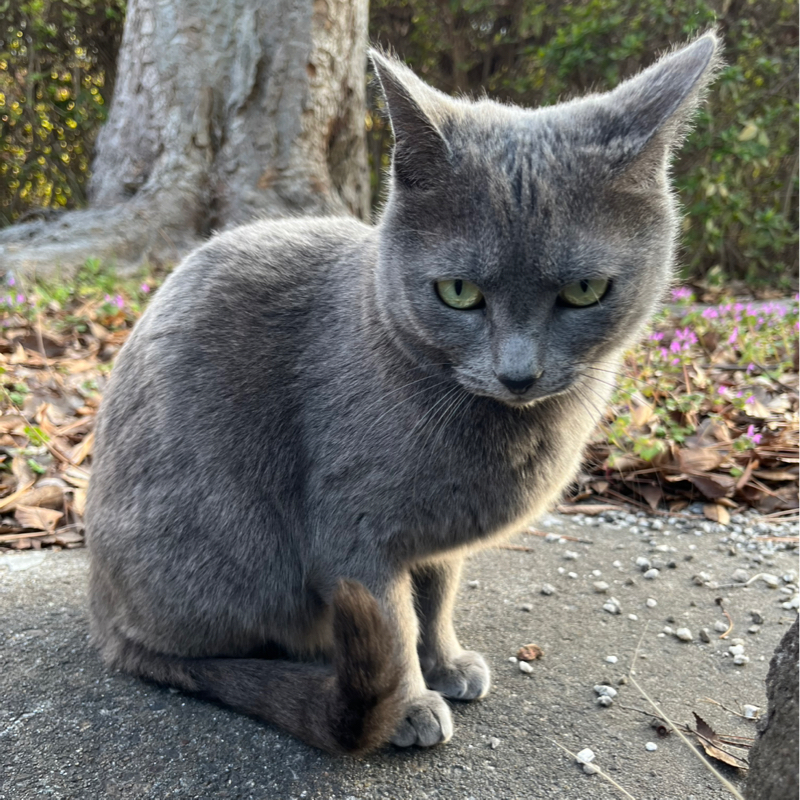 #105 コーヒーを控える