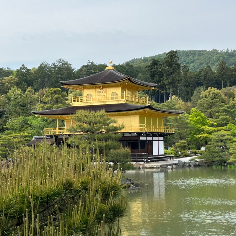 #112 京の都、金の寺