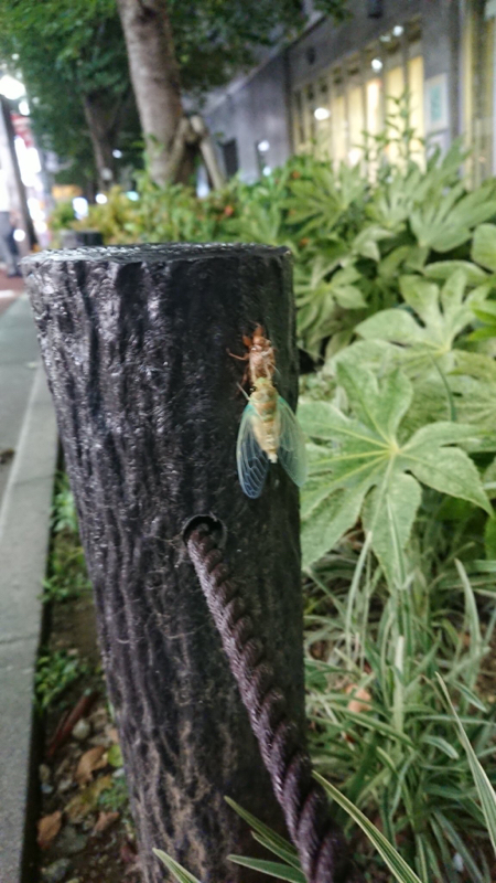 GIRIGIRIラジオ アフタートーク#26 