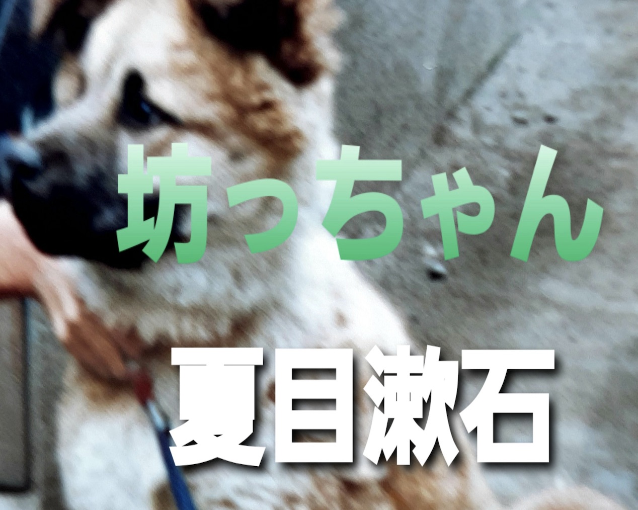 朗読（４）夏目漱石『坊ちゃん』 from Radiotalk episode artwork