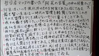 「河童』９ 朗読 芥川龍之介 from Radiotalk episode artwork