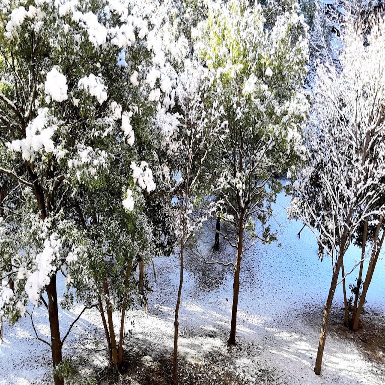 『河童』１９朗読　芥川龍之介