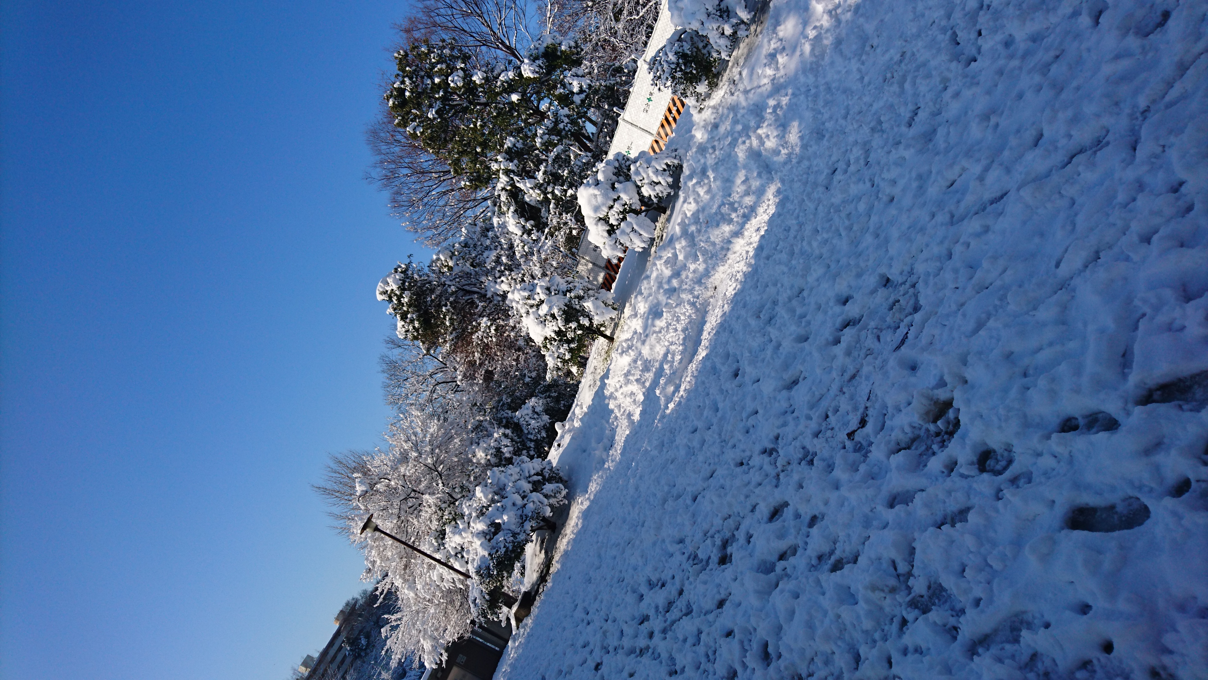 いろいろはなします20190226