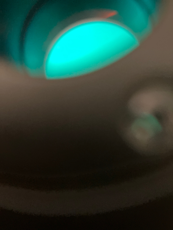 一生懸命な集団ストーカーちゃん