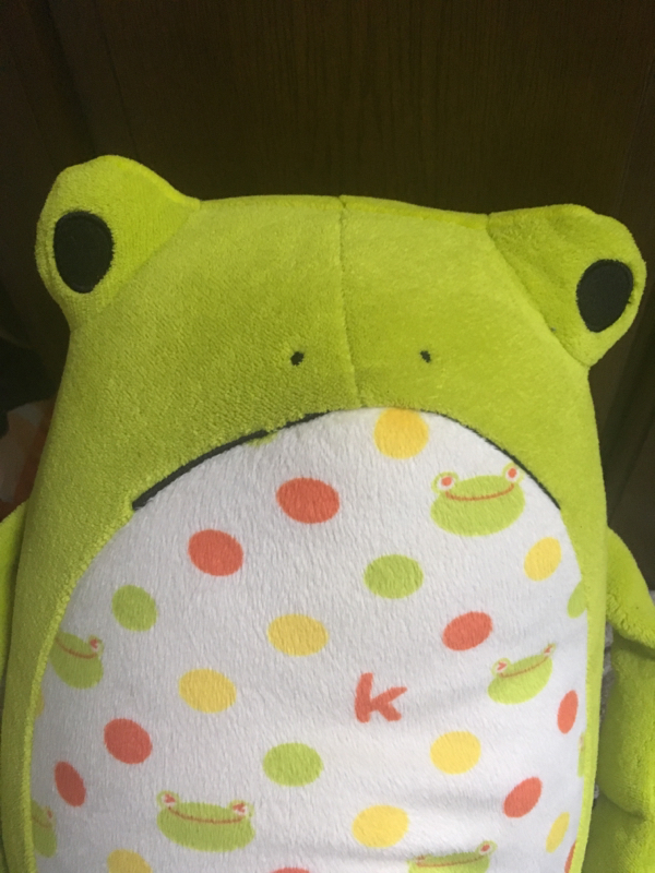 爬虫類とかの話