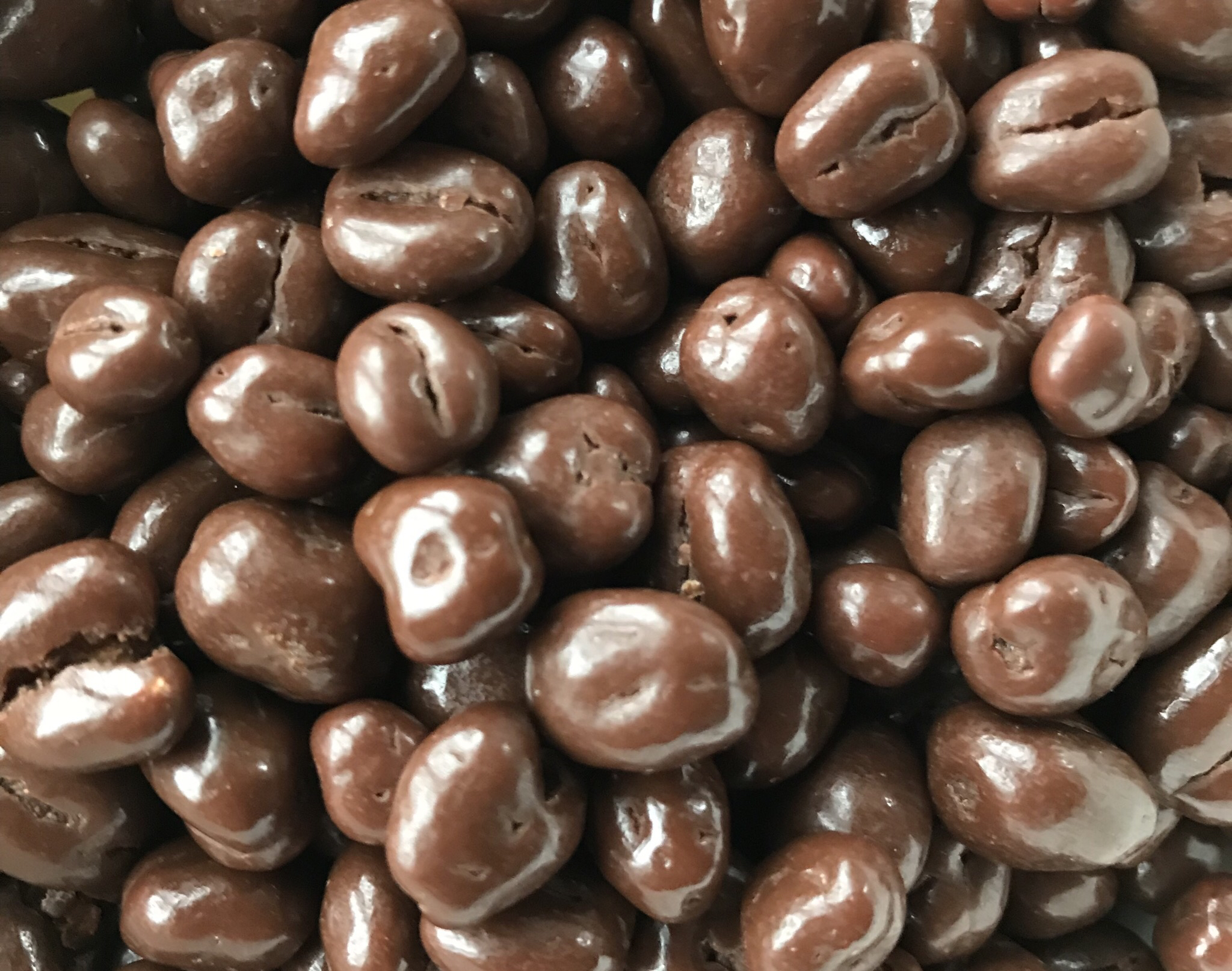 第18.5回 読書への燃え語り