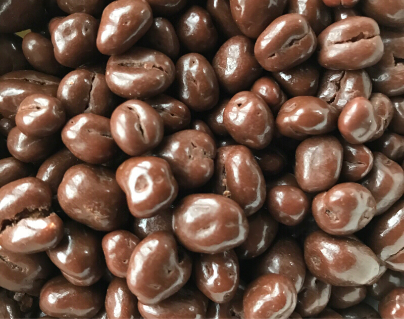 番外編 質問に答えました！「私の本を選ぶ基準」について