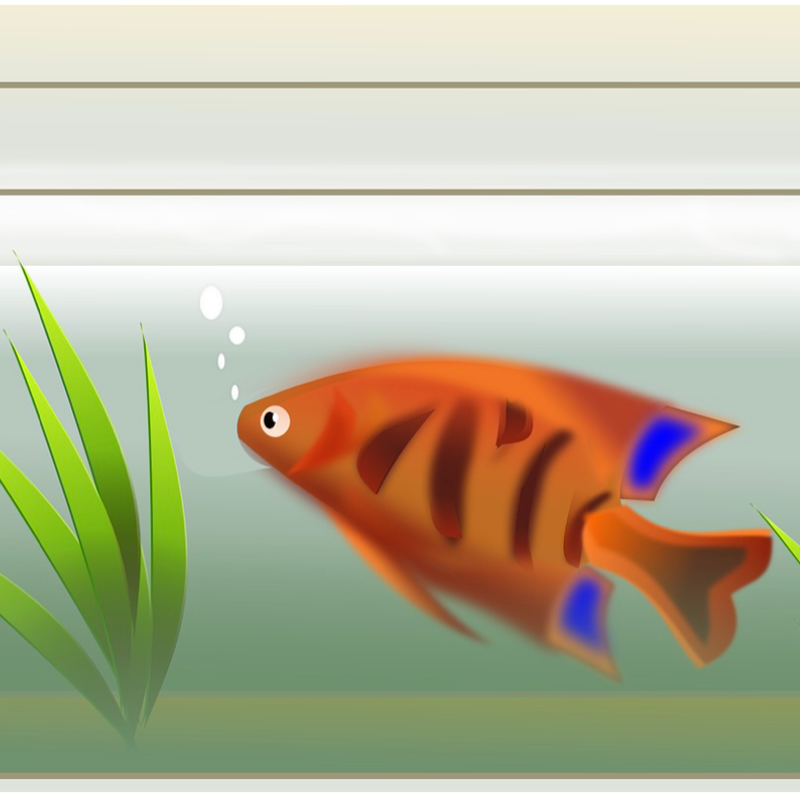 #287 熱帯魚の話〜ヒーター選びは気をつけて！