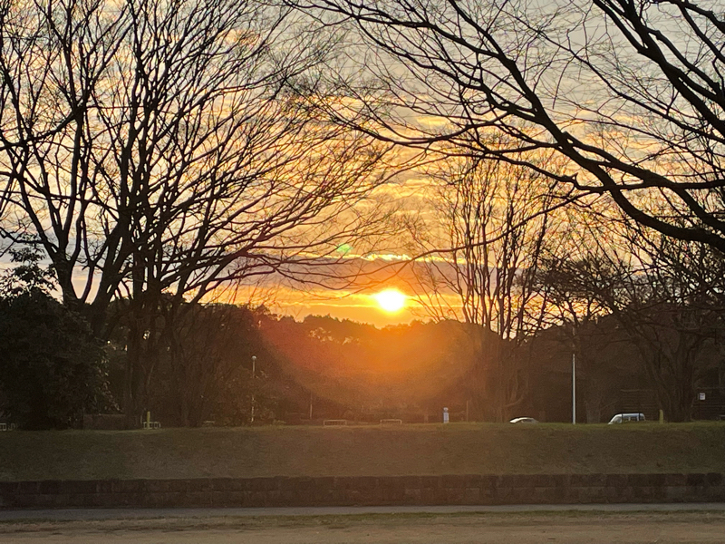 本当に凄い　アファーメーション❣️