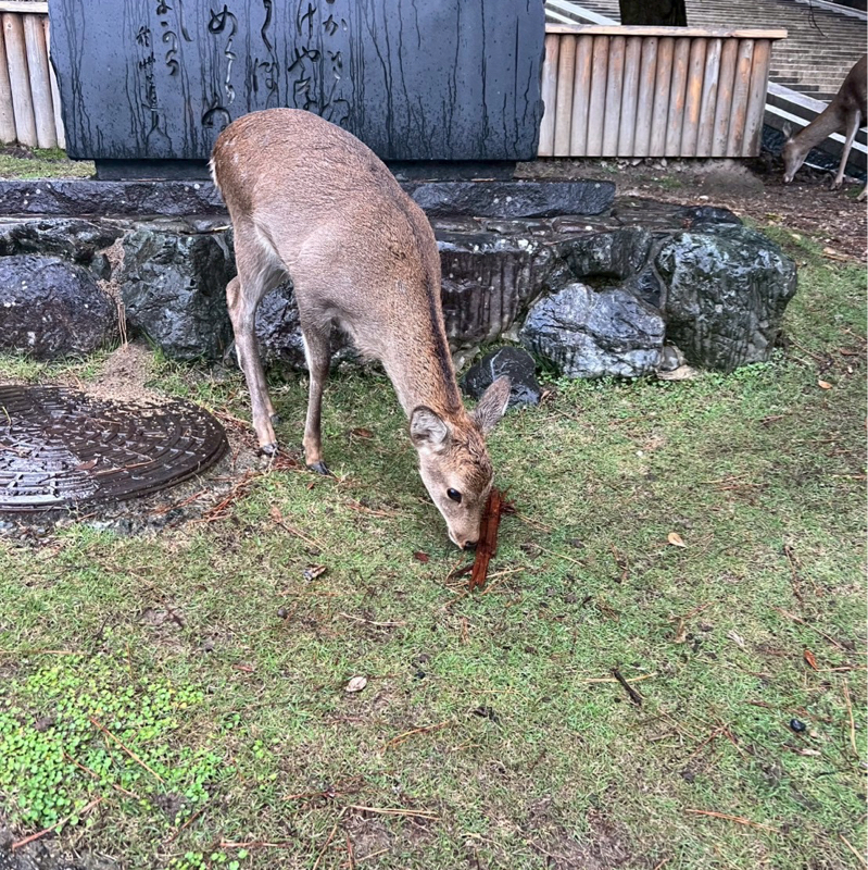 #1706 最高の贅沢写真