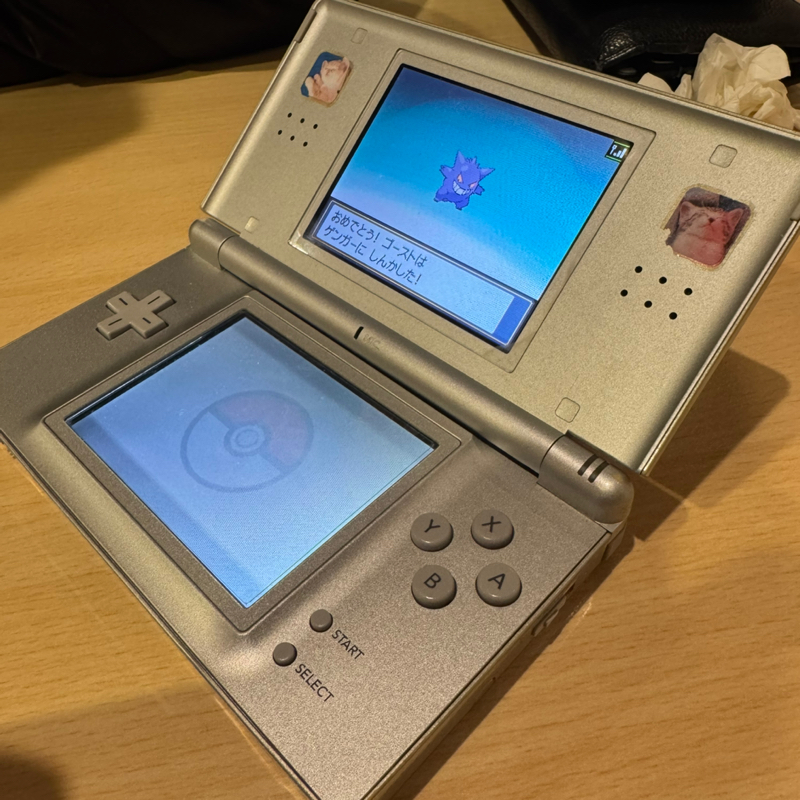 #1875 サファリパーク体験