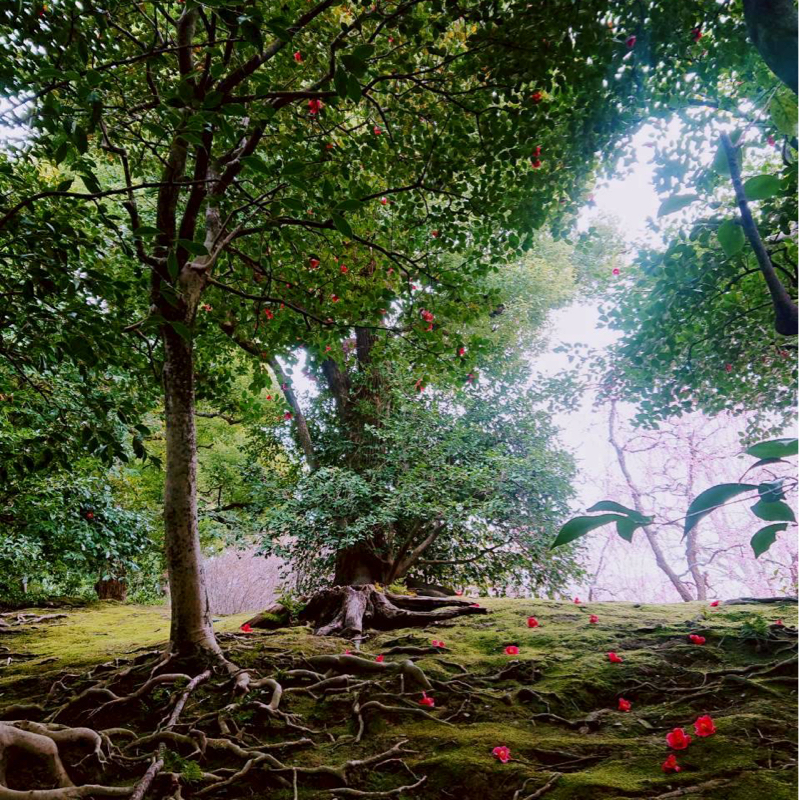 #1959 もぐりガール