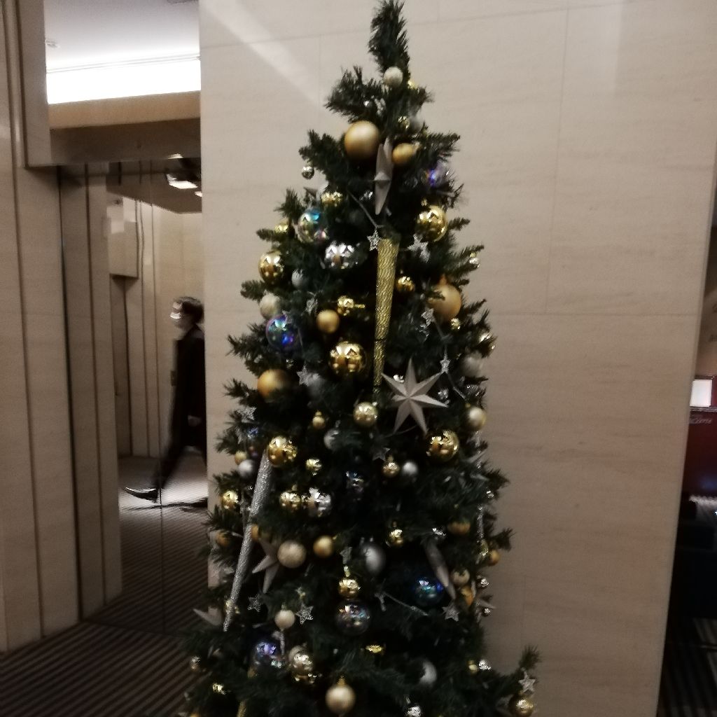 今日嬉しかったこと #3