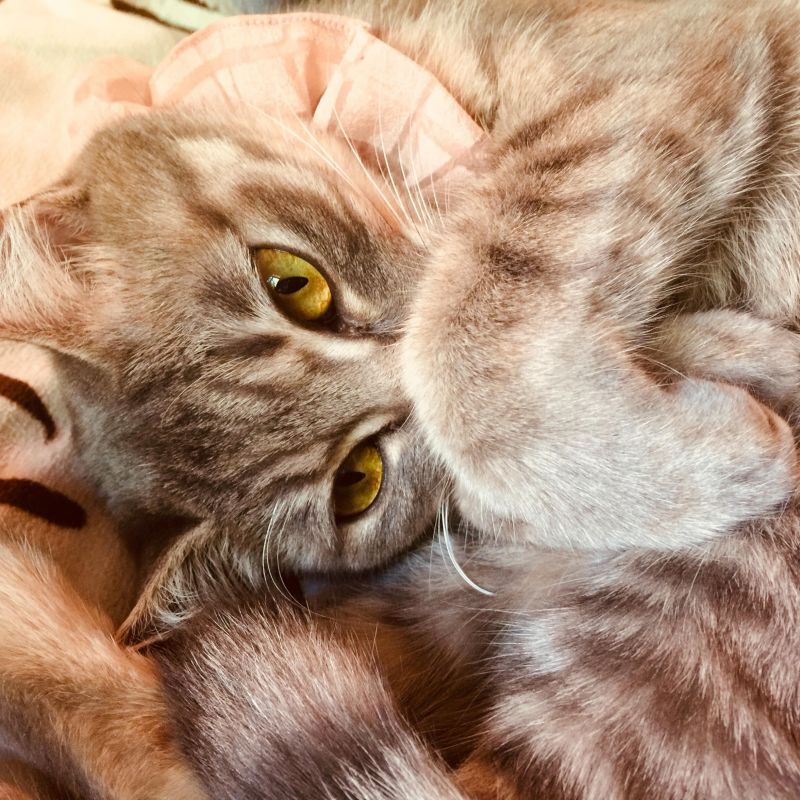 なぎちゃんねる！