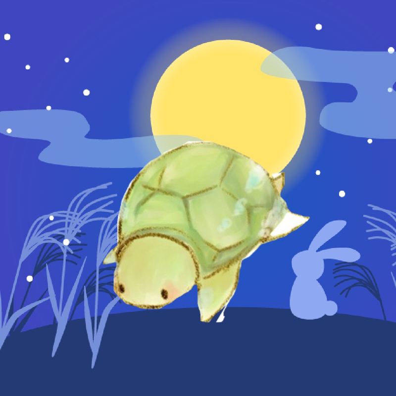 うみがめ🐢👑初代まろげ王👑