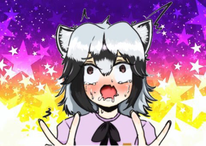 アライ🦝