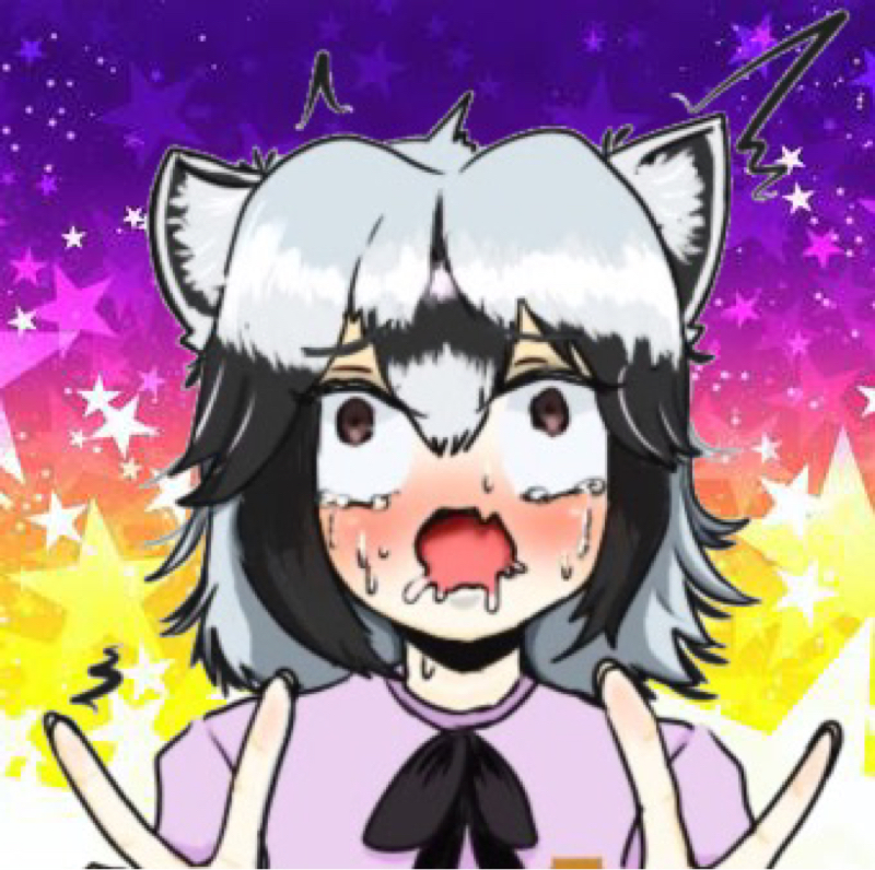 アライ🦝
