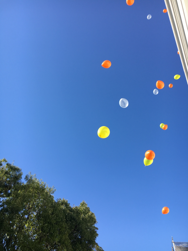 私の今日の１日