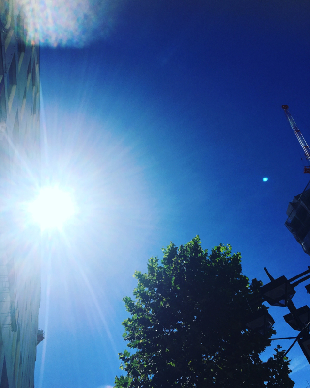 テストだよーん