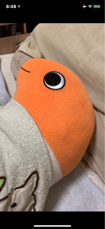 カープについて