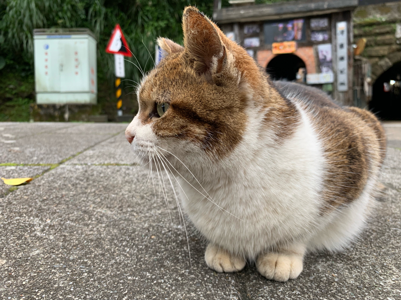 #2 集まれバンドマン