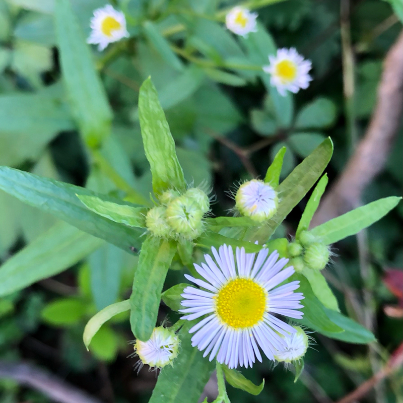 本当の自分を知られたくない