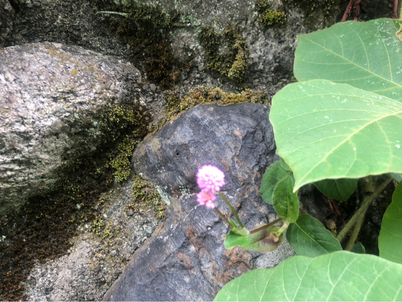 不快にさせたくない