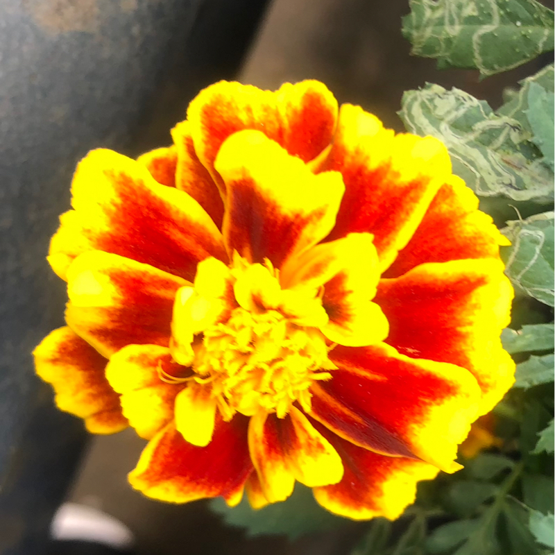 不幸に囲まれている