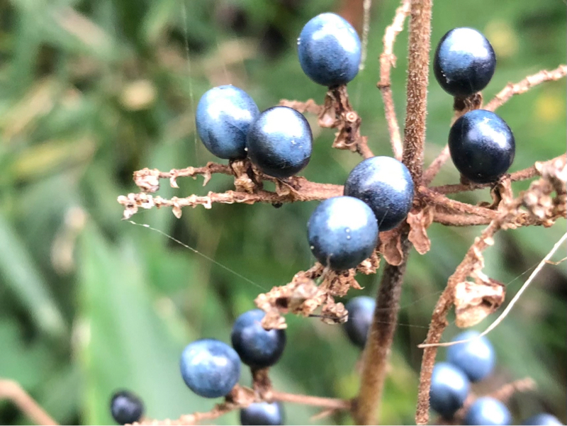 反応の種をぶっ壊す