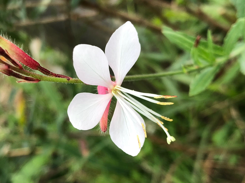 考え方を変える